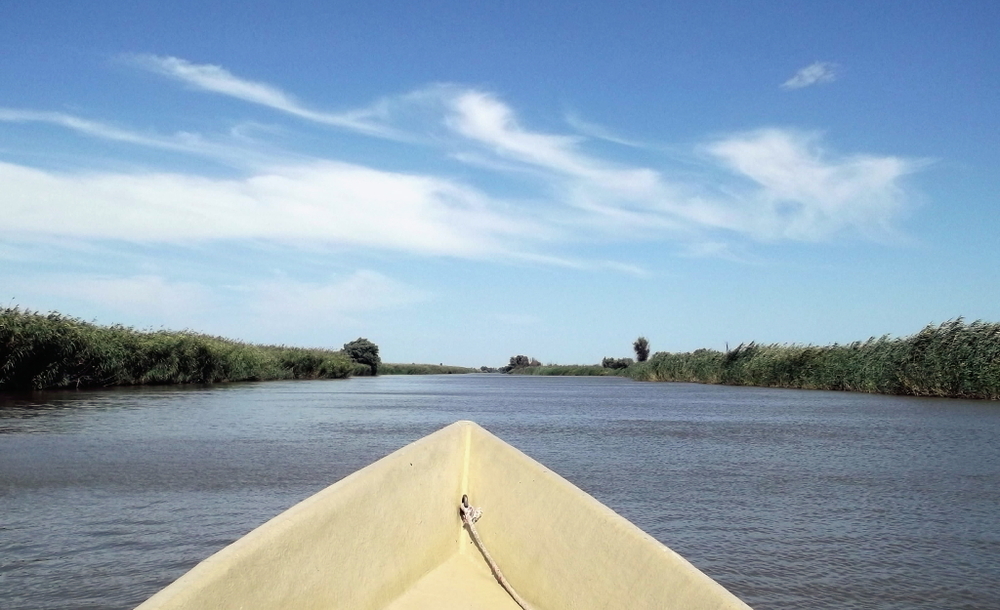 Вспоминая летний отпуск в круизе. Часть 2 Астрахань, сафари по дельте Волги в край цветущего лотоса и чуть КВНа, фото № 43