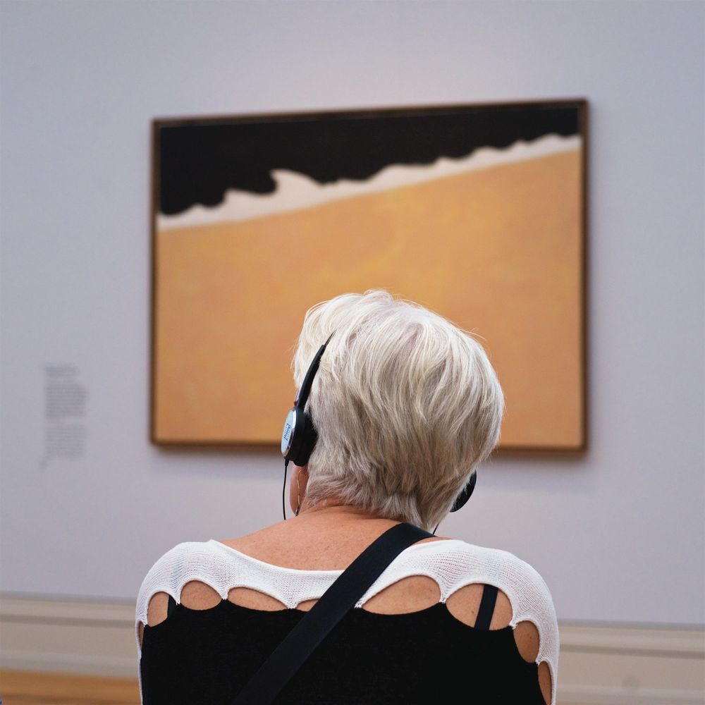 Вот так совпадение фотограф Стефан Драшан обнаружил удивительное сходство картин и ценителей искусства, фото № 5 Вот так совпадение фотограф Стефан Драшан обнаружил удивительное сходство картин и ценителей искусства, фото № 5