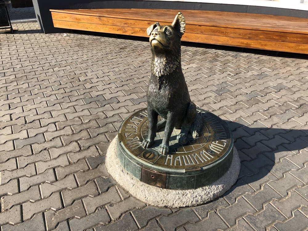 Не свинья, но тоже любит деньги самые необычные копилки, фото № 7