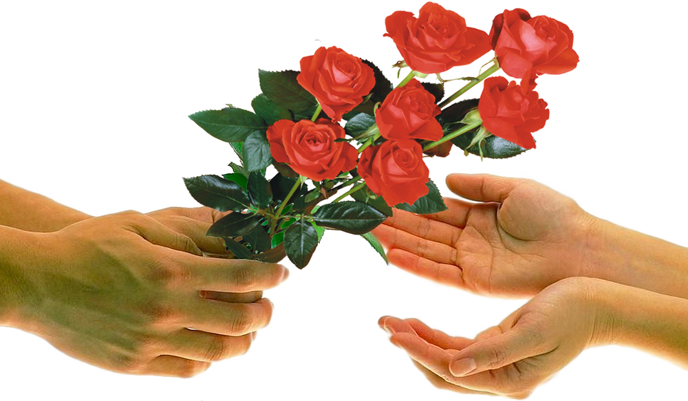Цветы в мужских руках. Букет цветов в руках. Мужская рука с цветами. Гифки дарю цветы