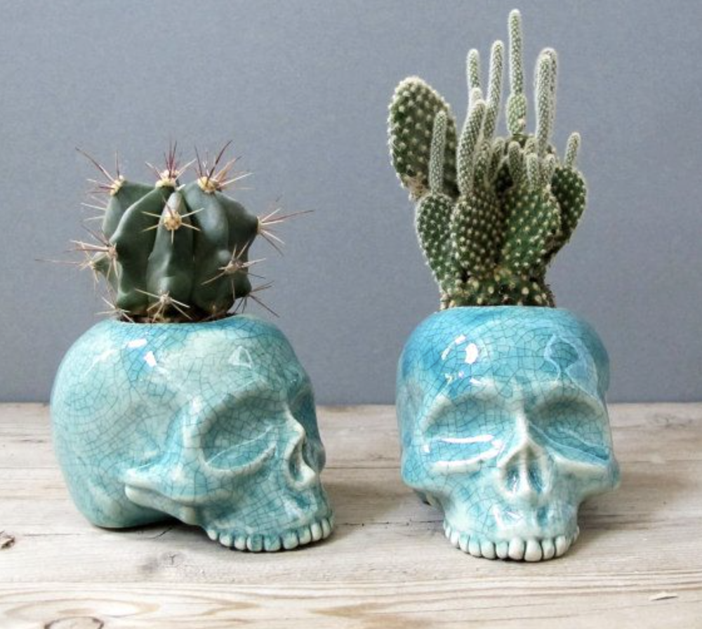 Brain Cacti in Ceramic Skull