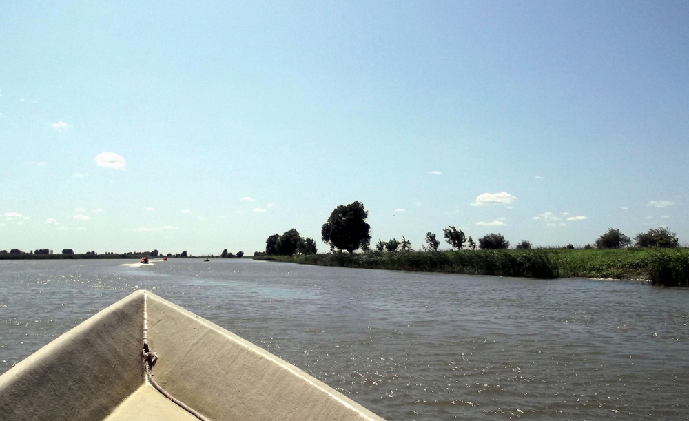 Вспоминая летний отпуск в круизе. Часть 2 Астрахань, сафари по дельте Волги в край цветущего лотоса и чуть КВНа, фото № 18