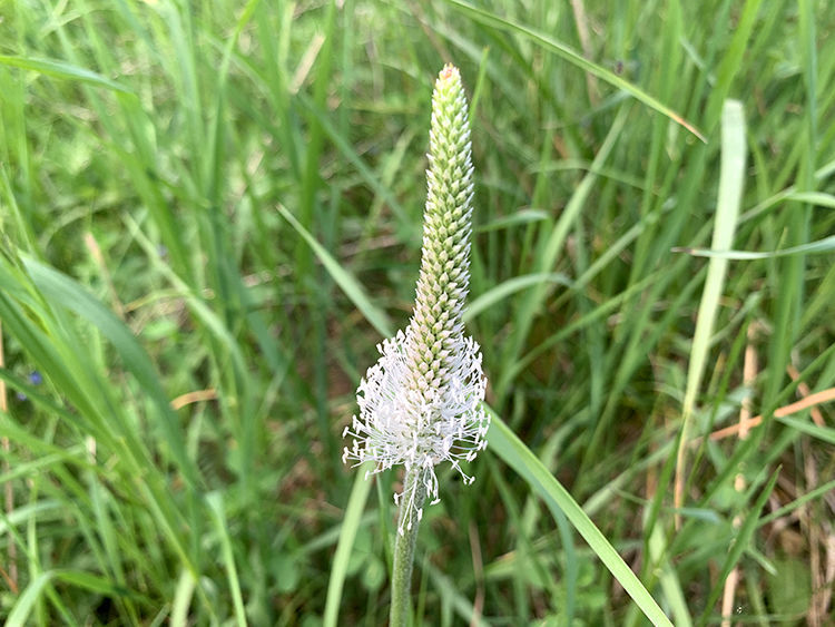 Торжок водопад, валунный мост, чистый воздух и живописные виды, фото № 16