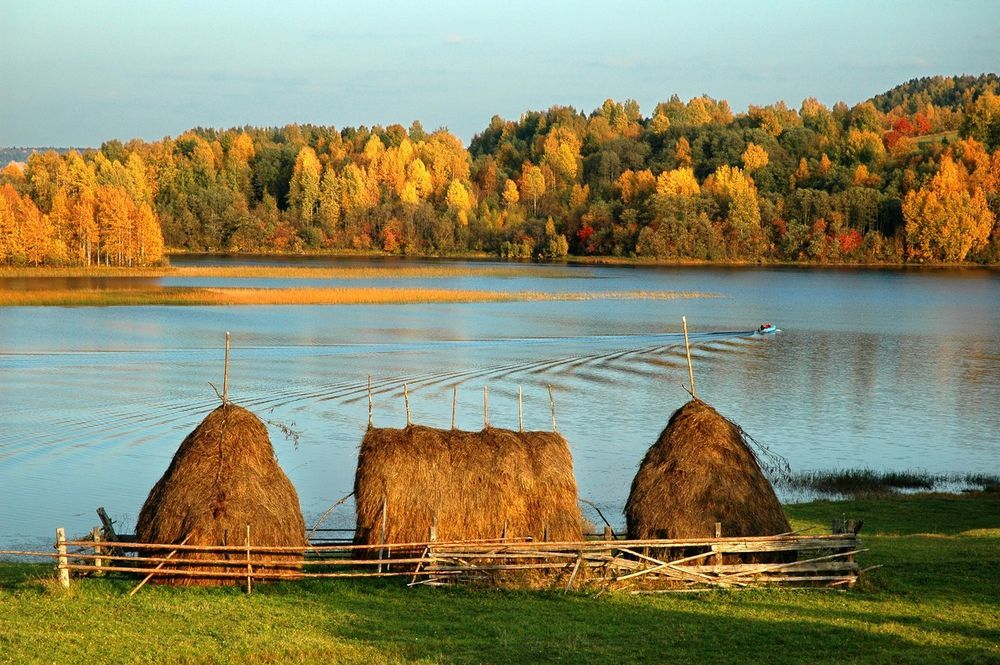 Фото парк в деревне