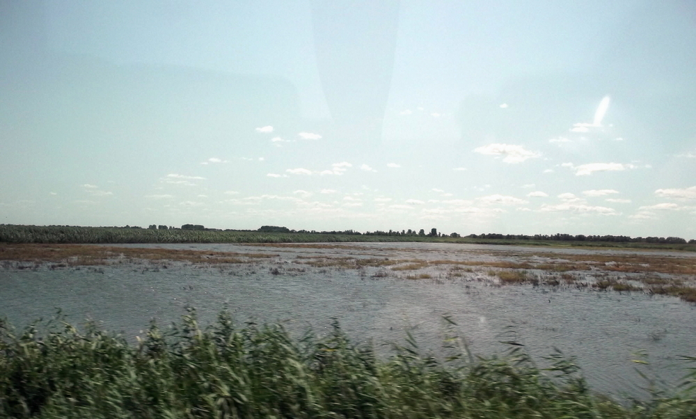 Вспоминая летний отпуск в круизе. Часть 2 Астрахань, сафари по дельте Волги в край цветущего лотоса и чуть КВНа, фото № 8