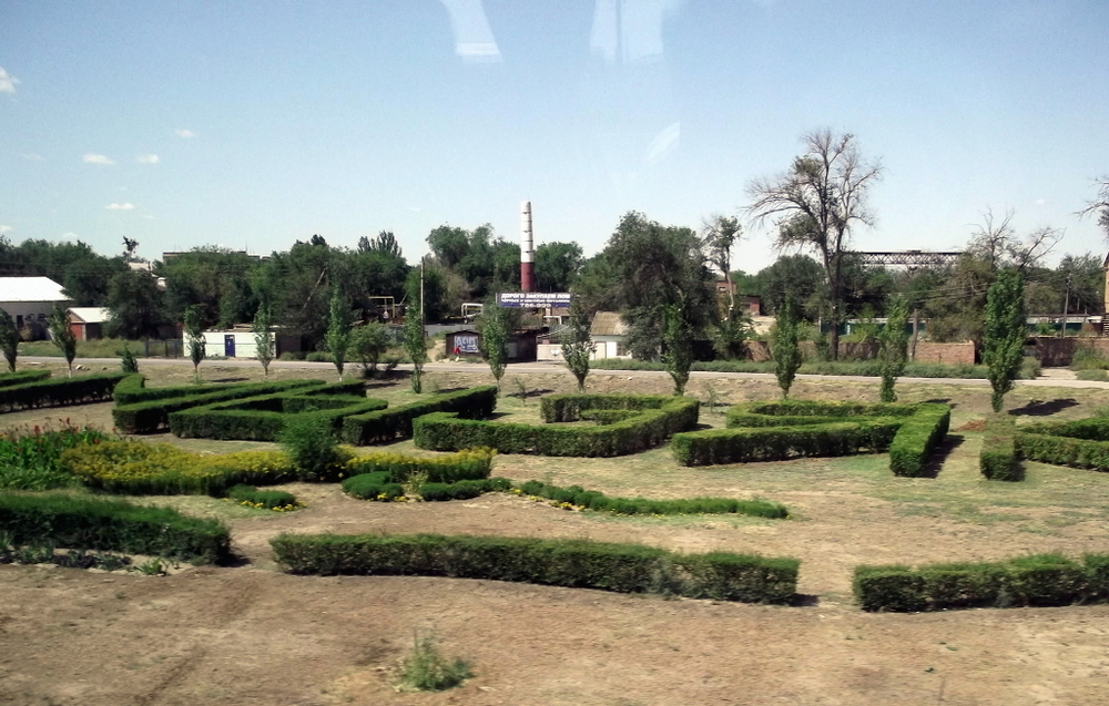 Вспоминая летний отпуск в круизе. Часть 2 Астрахань, сафари по дельте Волги в край цветущего лотоса и чуть КВНа, фото № 4