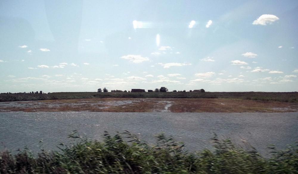 Вспоминая летний отпуск в круизе. Часть 2 Астрахань, сафари по дельте Волги в край цветущего лотоса и чуть КВНа, фото № 7