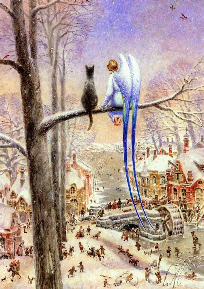 ������������� ���� ��������� ���������, ���� � 14