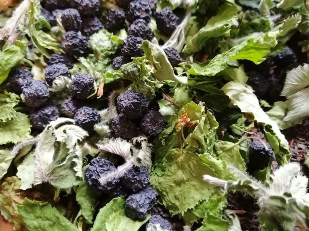 алтайский чай тайга.