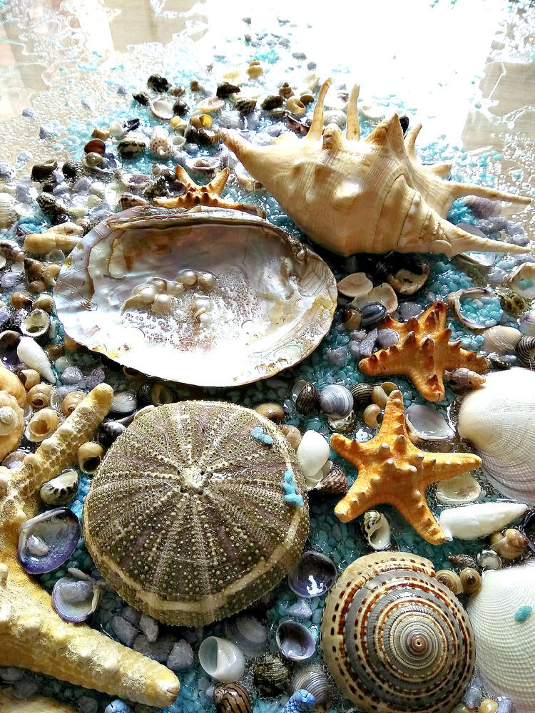 Sea collection