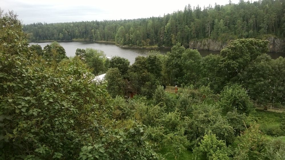 Удивительные яблоневые сады Валаамского монастыря, фото № 11