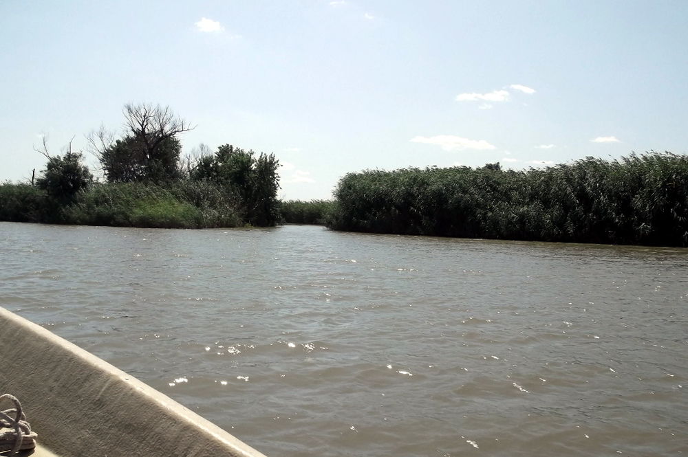 Вспоминая летний отпуск в круизе. Часть 2 Астрахань, сафари по дельте Волги в край цветущего лотоса и чуть КВНа, фото № 24