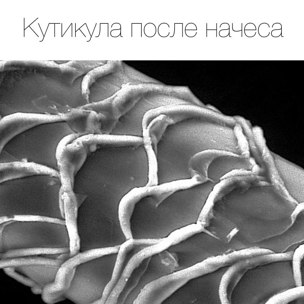 Человеческая шерсть. Волос под микроскопом. Волос человека под микроскопом. Структура волоса под микроскопом. Волос под электронным микроскопом.