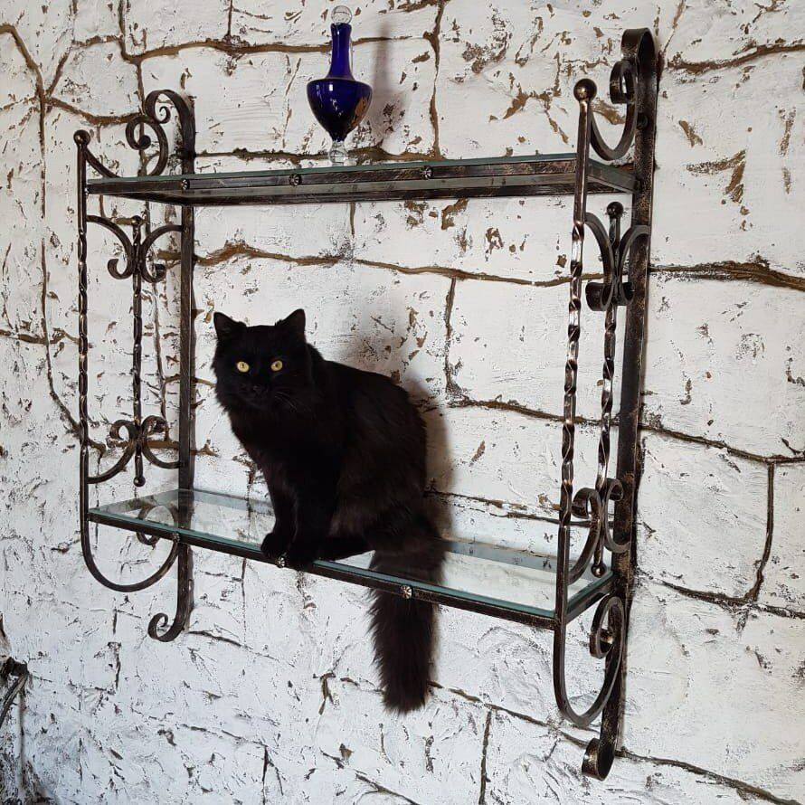 Черные коты приносят удачу и защищают от воров, фото № 7