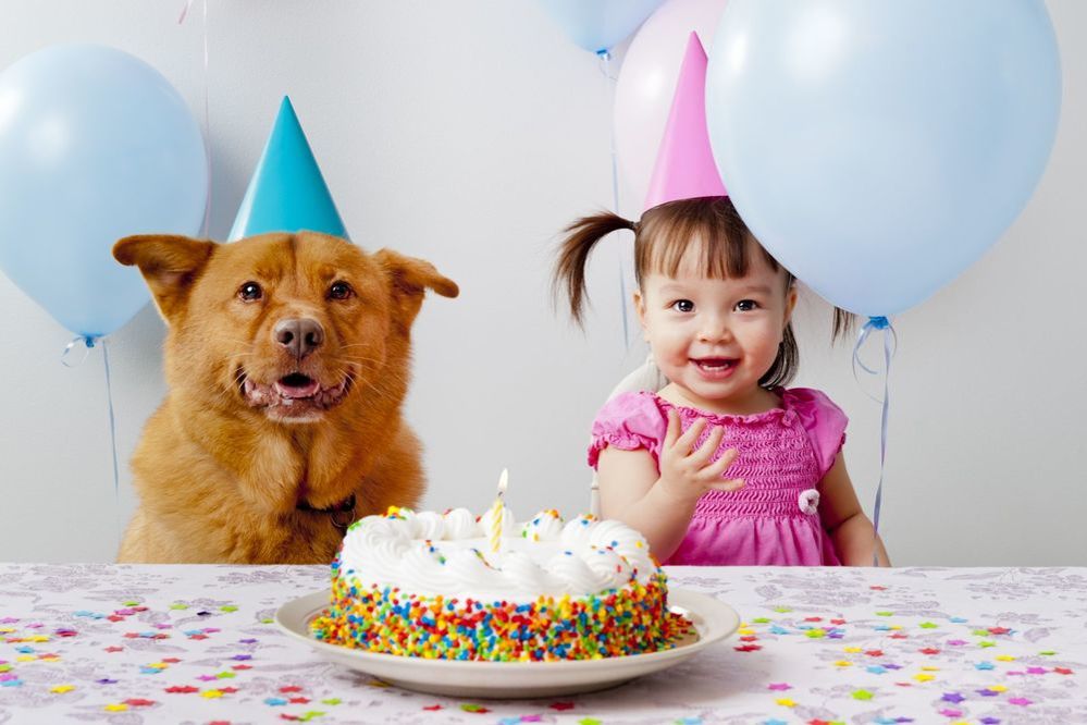 Сюрприз на день рождения: 6 отличных идей, как устроить сюрприз на день рождения