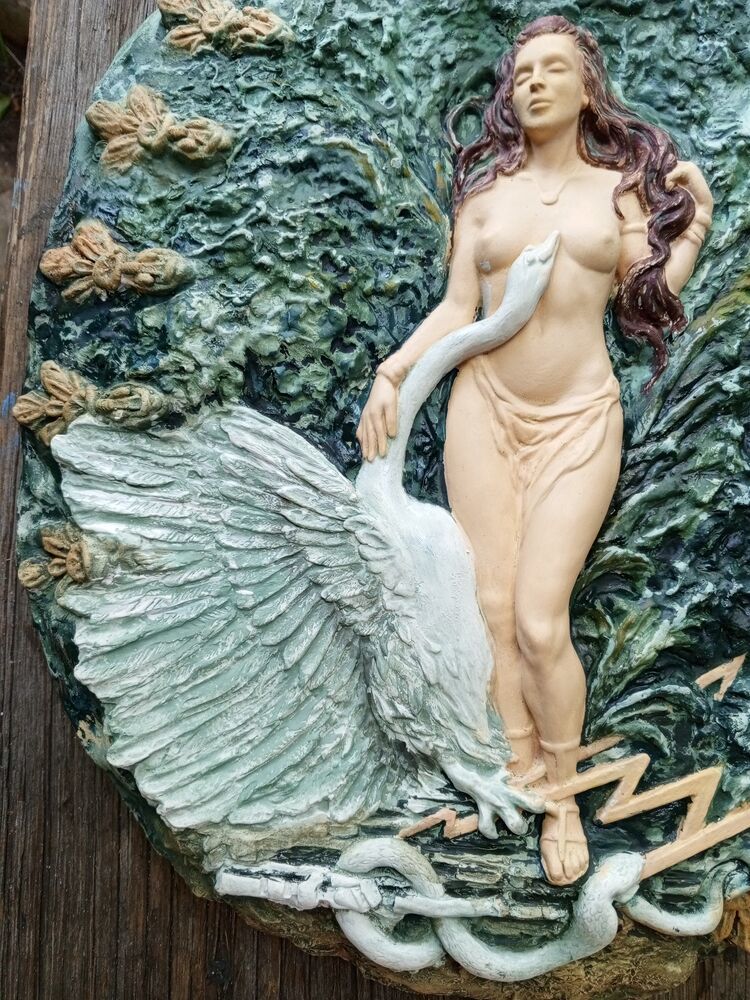 레다 컬러, 사진 번호 6