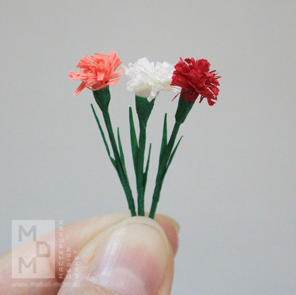 Miniature Carnation