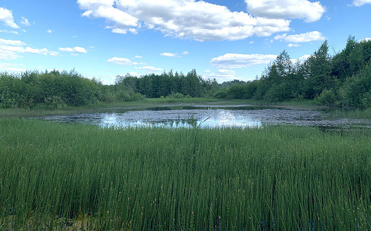Торжок водопад, валунный мост, чистый воздух и живописные виды, фото № 12