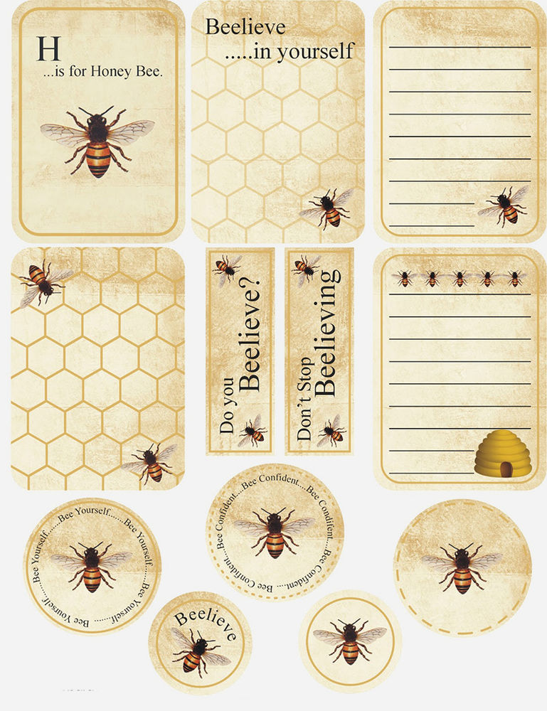 Исследовательская работа «Пчёлы – это интересно и полезно»