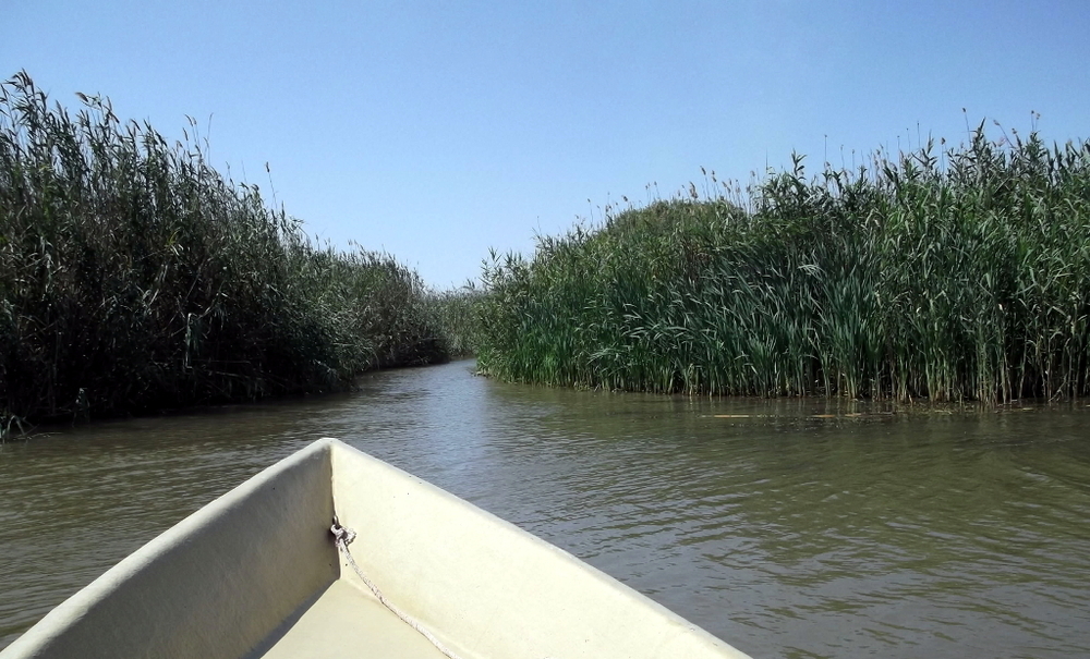 Вспоминая летний отпуск в круизе. Часть 2 Астрахань, сафари по дельте Волги в край цветущего лотоса и чуть КВНа, фото № 30