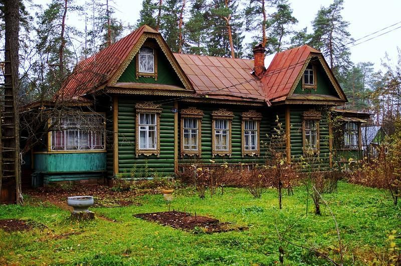 6 деревьев для дачи, которые хорошо приживутся и вырастут без вашего участия | mupbtibataysk.ru