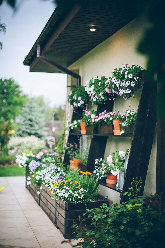 Идеи для сада и дома от дизайнера Анны Орешкиной - GARDENIDEA Первый садовый лоукост