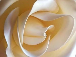 Вебинар: «Создаем гигантскую розу из изолона»