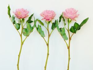Видеоурок: лепим серьги «Красные розы» из холодного фарфора