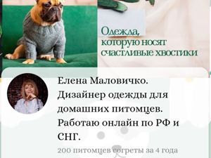 Вязаная одежда для кошек и собак (Схемы,МК) | ВКонтакте