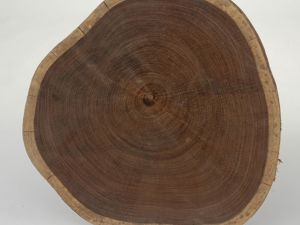Кружок художественной обработки древесины