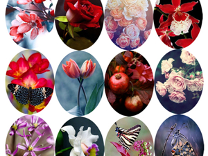 Распродажа картинок для кабошонов — бумажные и электронные. Ярмарка Мастеров - ручная работа, handmade.