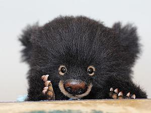 Лепим для мишки коготки из полимерной глины. Ярмарка Мастеров - ручная работа, handmade.