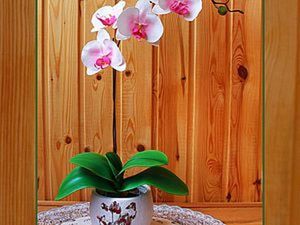 Орхидея фаленопсис из фоамирана мастер класс (часть 2)