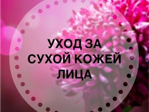 Схема ухода за сухой кожей thumbnail