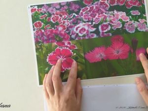 Хризантема из бумаги своими руками – шикарный цветок в подарок маме