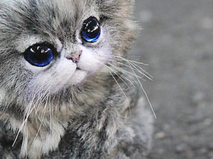 Как сделать усы пушистику. Ярмарка Мастеров - ручная работа, handmade.