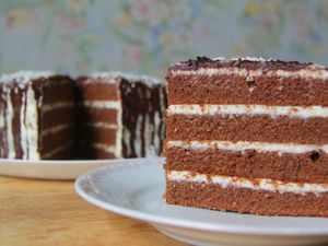 Шоколадный торт своими руками (80 фото)
