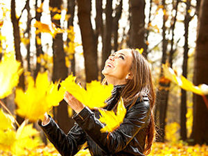 «Осенний ценопад!». Ярмарка Мастеров - ручная работа, handmade.