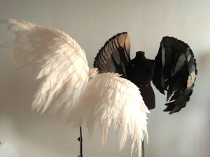 Вебинар: «Создаем крылья для фотосессии»