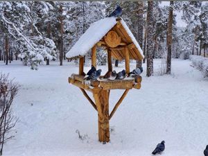 Деревянные скворечники и кормушки для птиц