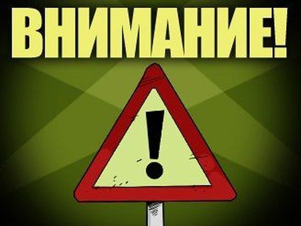 Открытки днем, смешная картинка внимание