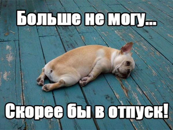 Смешная картинка хочу в отпуск