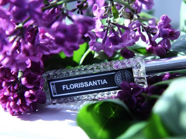Florissantia — слепое тестирование | Ярмарка Мастеров - ручная работа, handmade