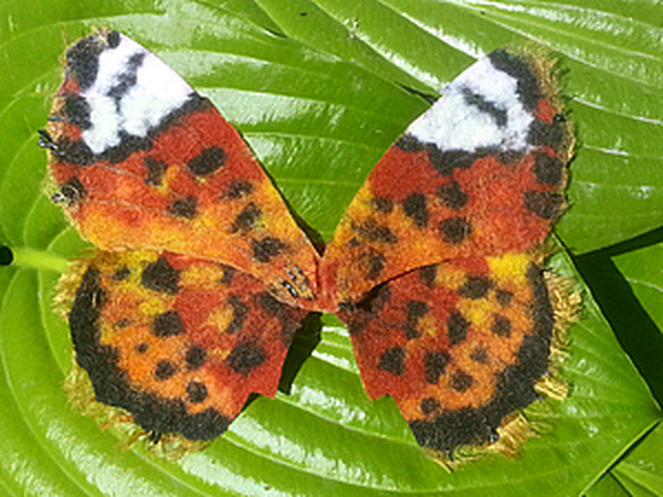 Бабочки из фетра своими руками, фото и выкройки