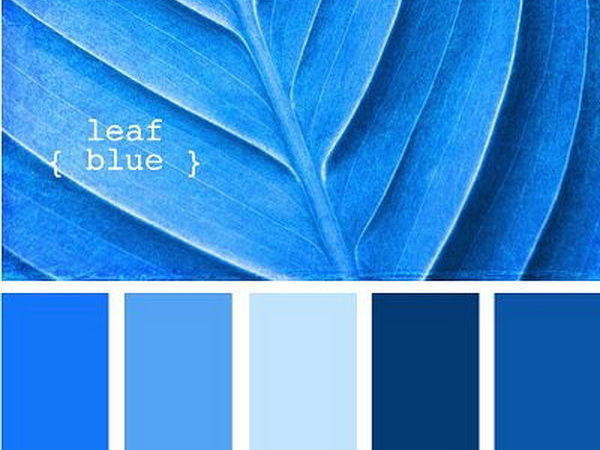 Get Inspiration From World Of Blue | Livemaster - handmade