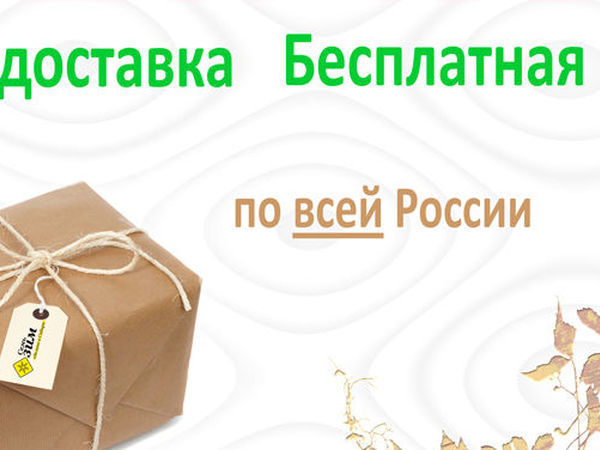 Интернет магазин с доставкой почтой россии магазин семян русский огород