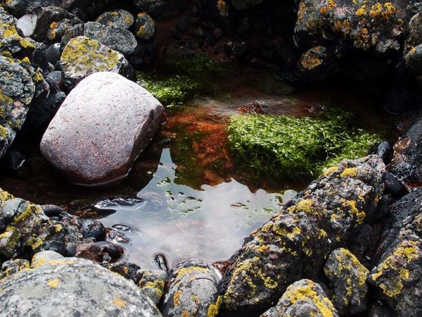 Как приготовить живую воду