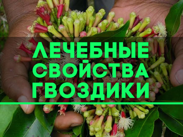 Варианты употребления гвоздики | Ярмарка Мастеров - ручная работа, handmade