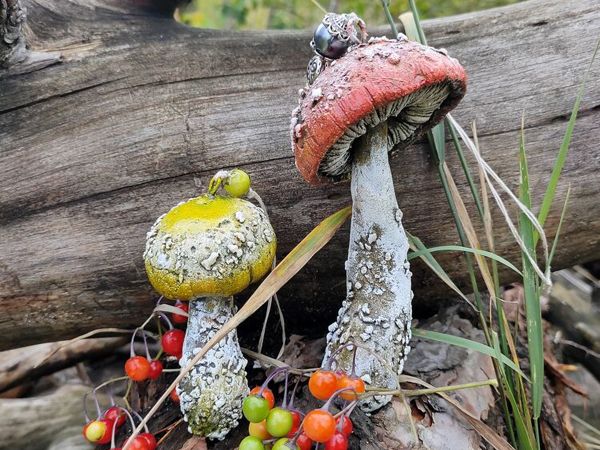 Осень и грибы идеальное сочетание | Ярмарка Мастеров - ручная работа, handmade