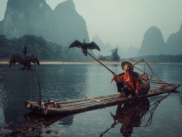 19 Most Popular Photos by the Sony World Photography Awards Participants | Livemaster - handmade